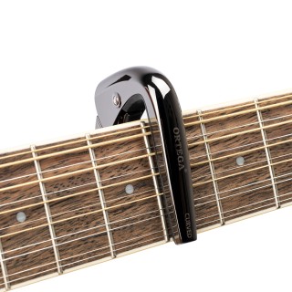 Ortega - TNCAPOCV-BCR