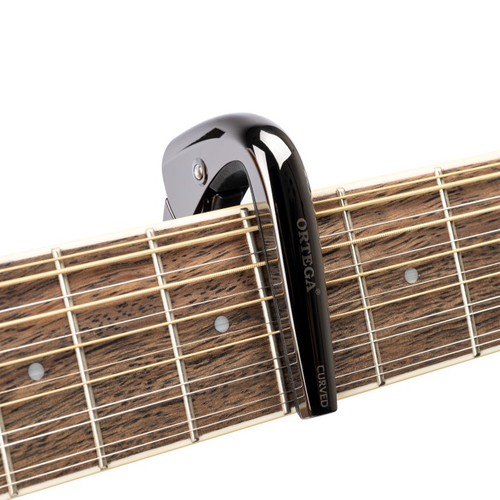 Ortega - TNCAPOCV-BCR