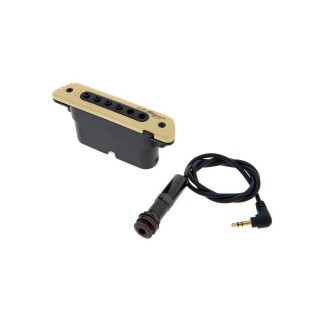 LR BAGGS - M80 ACUSTICA