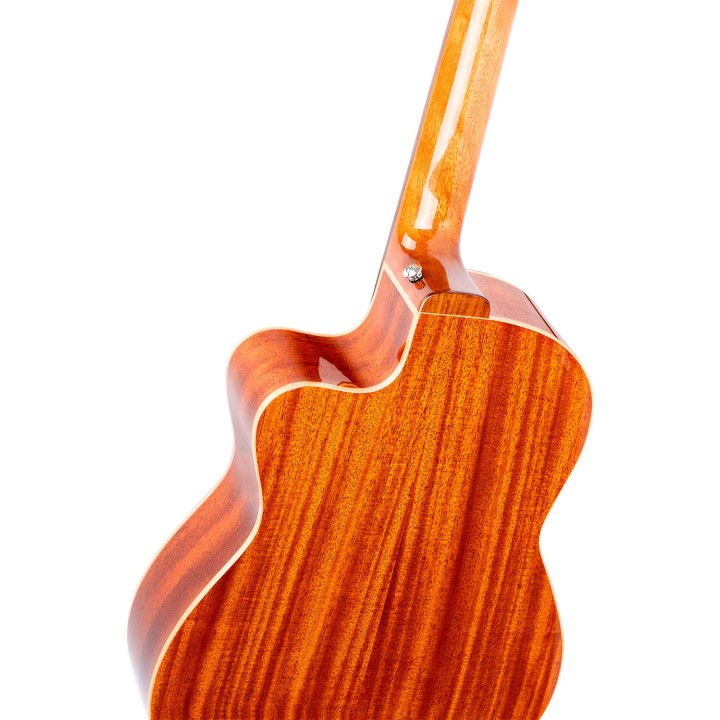 Ortega - RCE238SN-FT