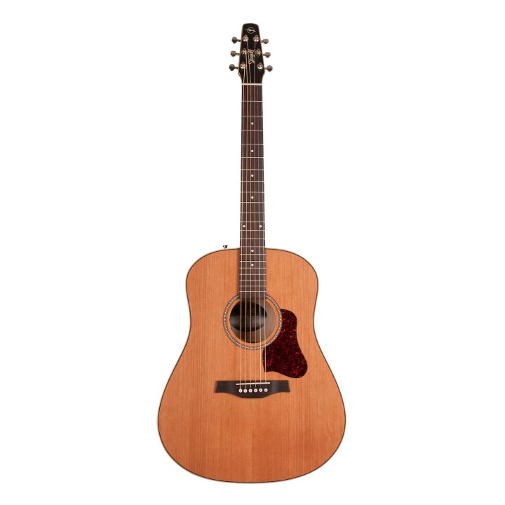 SEAGULL - INSEAGUL09