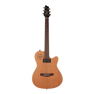 GODIN - INGODIN06