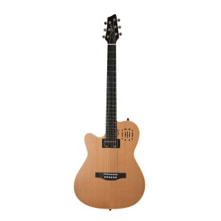 GODIN - INGODIN06