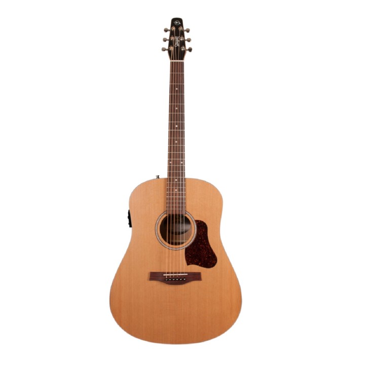 SEAGULL - INSEAGUL02