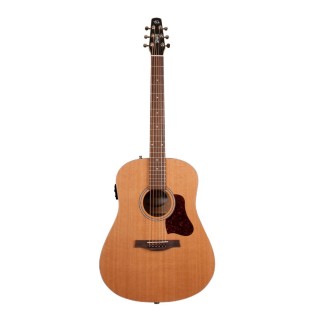 SEAGULL - INSEAGUL02