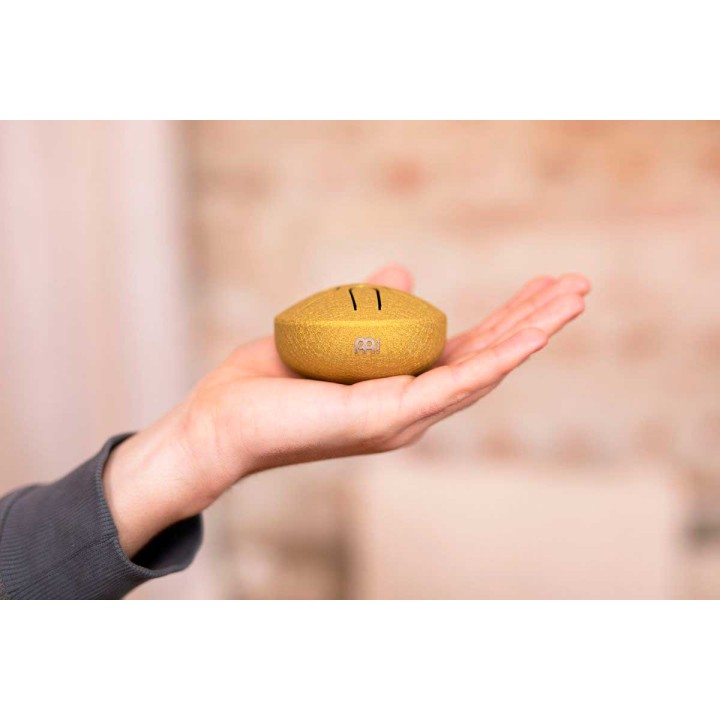 Sonic Energy - PSTD3GOM