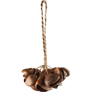 Sonic Energy - SPGRS