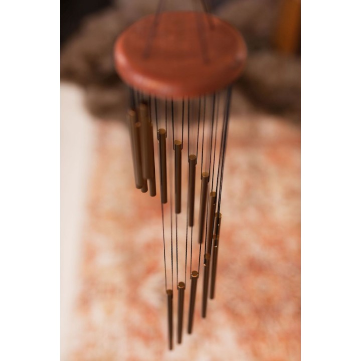 Sonic Energy - SC29B