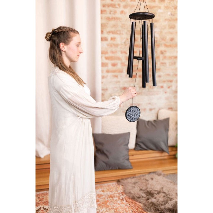 Sonic Energy - FOLMC36BK