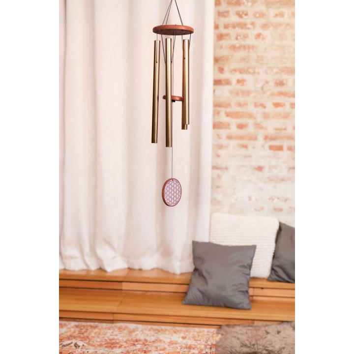 Sonic Energy - FOLMC36B