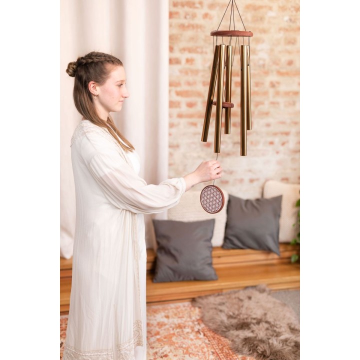 Sonic Energy - FOLMC36B