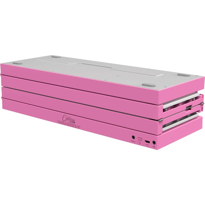 CARRY ON - CARRY-ON-FP88-PK - ROSA