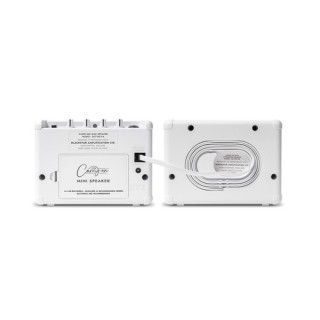 CARRY ON - CO-SPEAKER-BNDL MINI SPEAKER