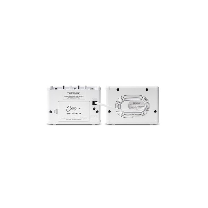 CARRY ON - CO-SPEAKER-BNDL MINI SPEAKER