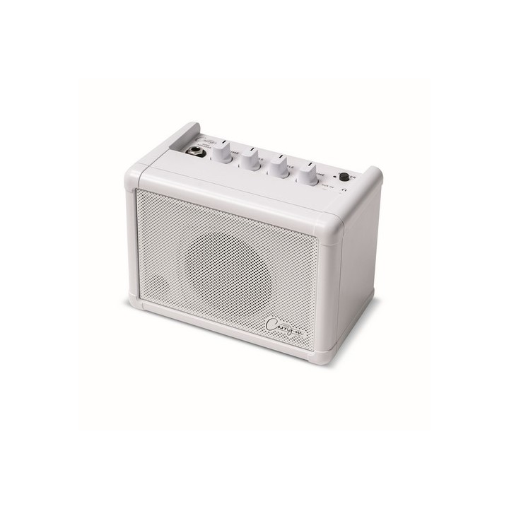 CARRY ON - CO-SPEAKER-BNDL MINI SPEAKER