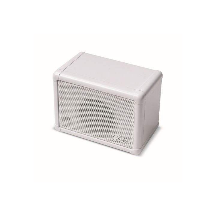 CARRY ON - CO-SPEAKER-BNDL MINI SPEAKER