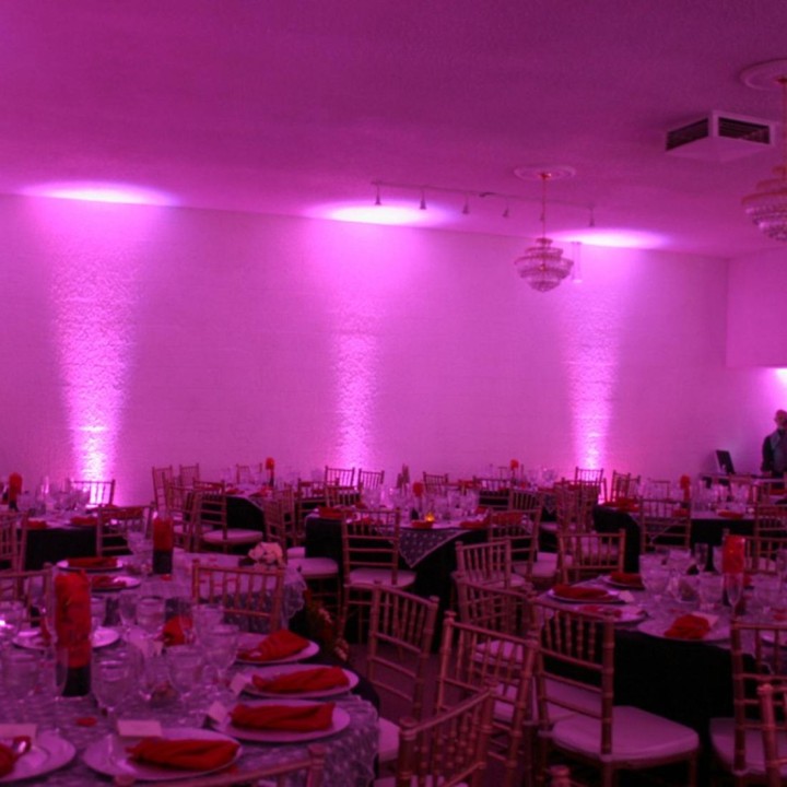 American Dj - Mega TRIPAR Profile PLUS - Other LED's Spotlight | Z-Bombilla