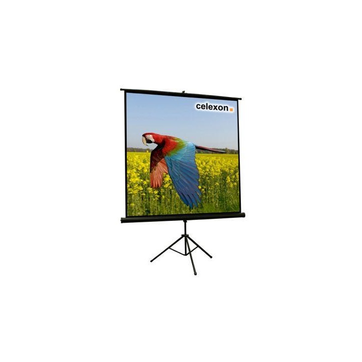 Celexon - Tripode Basica 133x133 - Tela de Projeção - Com Tripé | Z-Bombilla