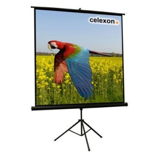 Celexon - Tripode Basica 219x219 - Pantalla de Projecció - Amb Trípode | Z-Bombilla