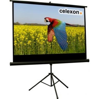 Celexon - Tripode Basica 219x123 - Pantalla de Projecció - Amb Trípode | Z-Bombilla