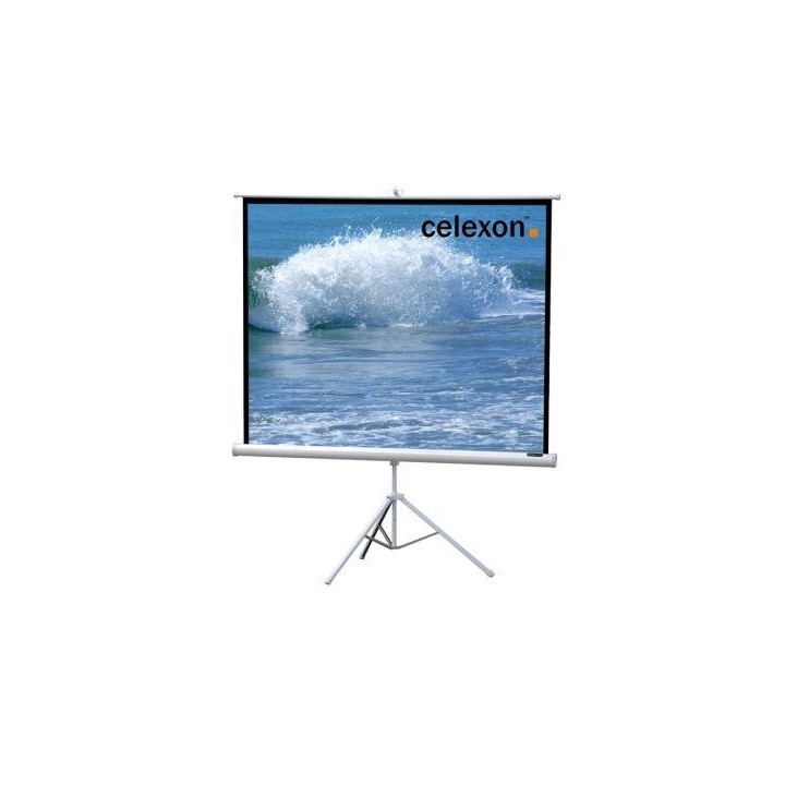 Celexon - Tripode Basica-Blanca 244x244 - Tela de Projeção - Com Tripé | Z-Bombilla