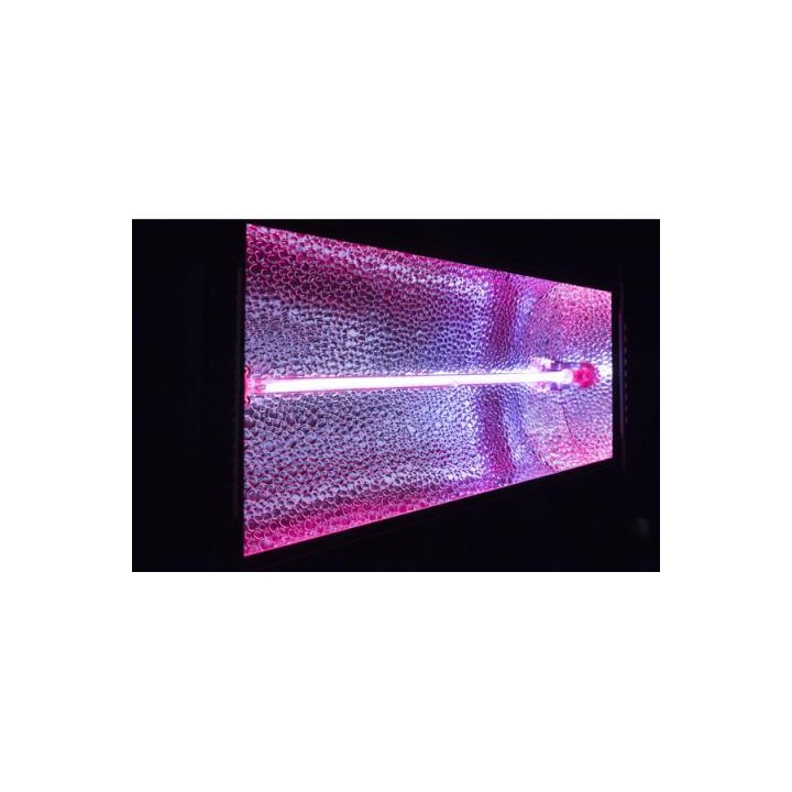 Showtec - Showtec Titan Strobe BLAZE - Flash / Strobe | Z-Bombilla