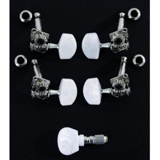 Sound Sation - JBJ900 - Pegboxs | Z-Bombilla