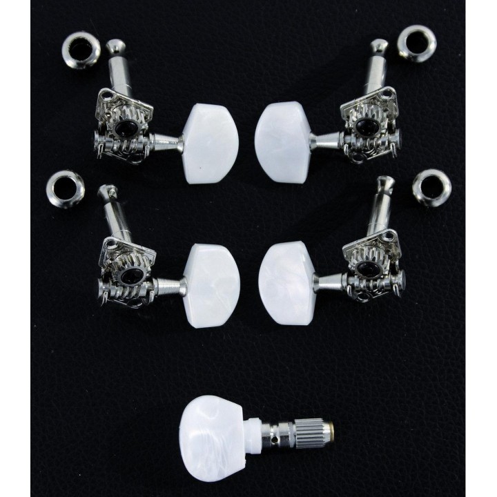 Sound Sation - JBJ900 - Pegboxs | Z-Bombilla