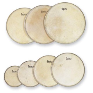 Gonalca Percusion - 8750 - adesivo para a pele com Arillo de metal | Z-Bombilla