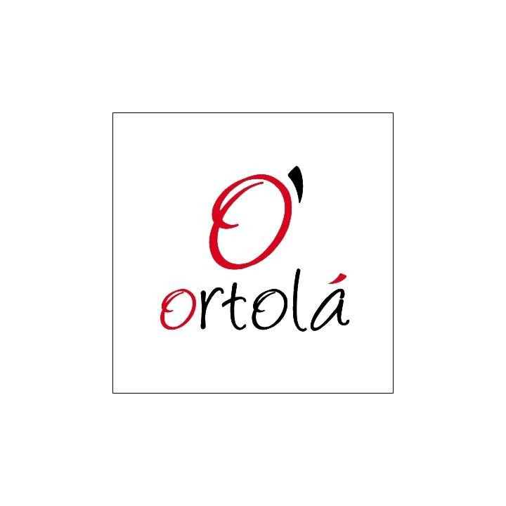 Ortola - FUNDA CAMPANOLOGO 165X118X25 - Plaque de couverture / Gong / campanologer | Z-Bombilla