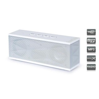 Fonestar - RU-40B - Sistemas de som Portátil | Z-Bombilla