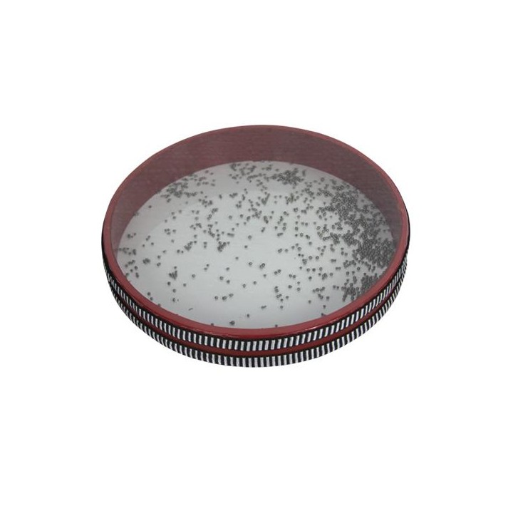 DB Percussion - DB0741 - Percussió Diversos | Z-Bombilla