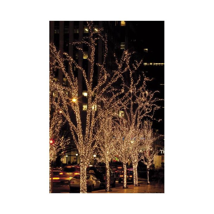 Showtec - LED Rubber Twinkle Light WW - LED Mangueira | Z-Bombilla