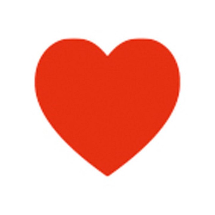 Showtec - Handheld confetti cannon Small - Tub manual d'Confetti | Z-Bombilla