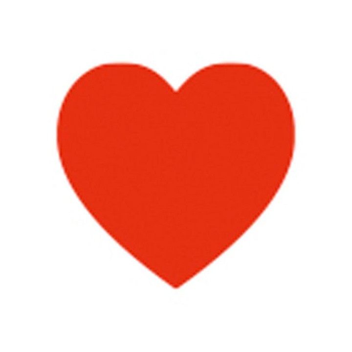 Showtec - Handheld confetti cannon - Tub manual d'Confetti | Z-Bombilla