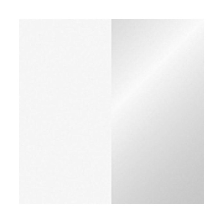 Showtec - Handheld streamer - Confetti manual tube | Z-Bombilla