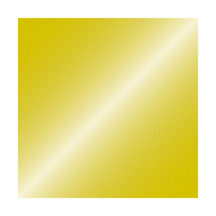 Showtec - Handheld confetti cannon Pro - Tube manuel Confetti | Z-Bombilla