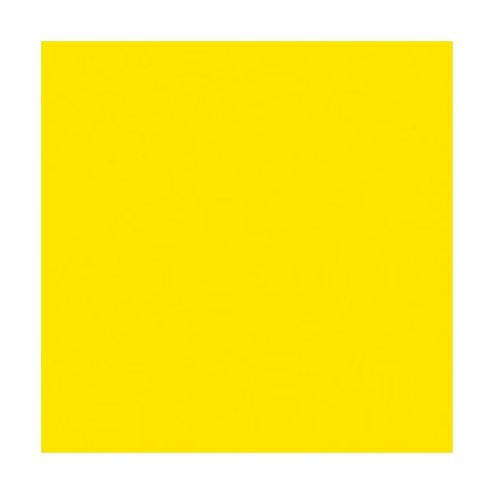 Showtec - Handheld confetti cannon Pro - Tube manuel Confetti | Z-Bombilla