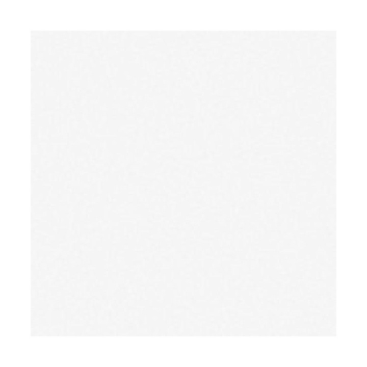 Showtec - Handheld confetti cannon Pro - Tubo manual de confete | Z-Bombilla