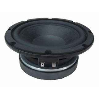 Beyma - 8P300Fe - Cone / Speaker 8" | Z-Bombilla