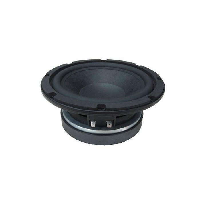 Beyma - 8P300Fe - Cone / Speaker 8" | Z-Bombilla