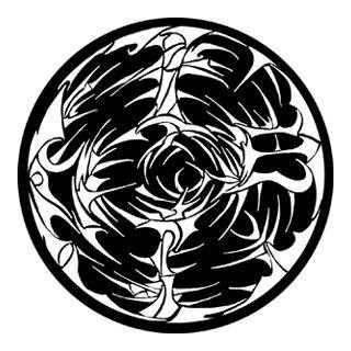 Rosco - 78235 - Aço Padrão Gobo - Breakups | Z-Bombilla