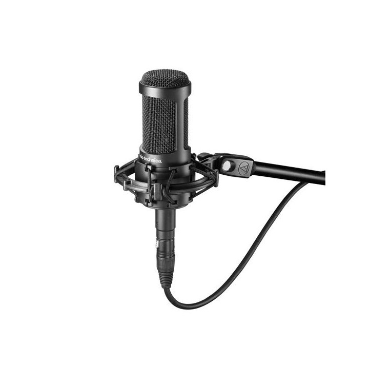Audio-Technica - AT2050 - Microfono a Condensatore | Z-Bombilla