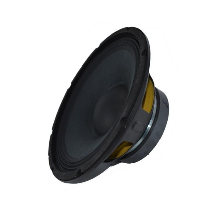 Acoustic Control - ALT 10 - Cone / Speaker 10" | Z-Bombilla
