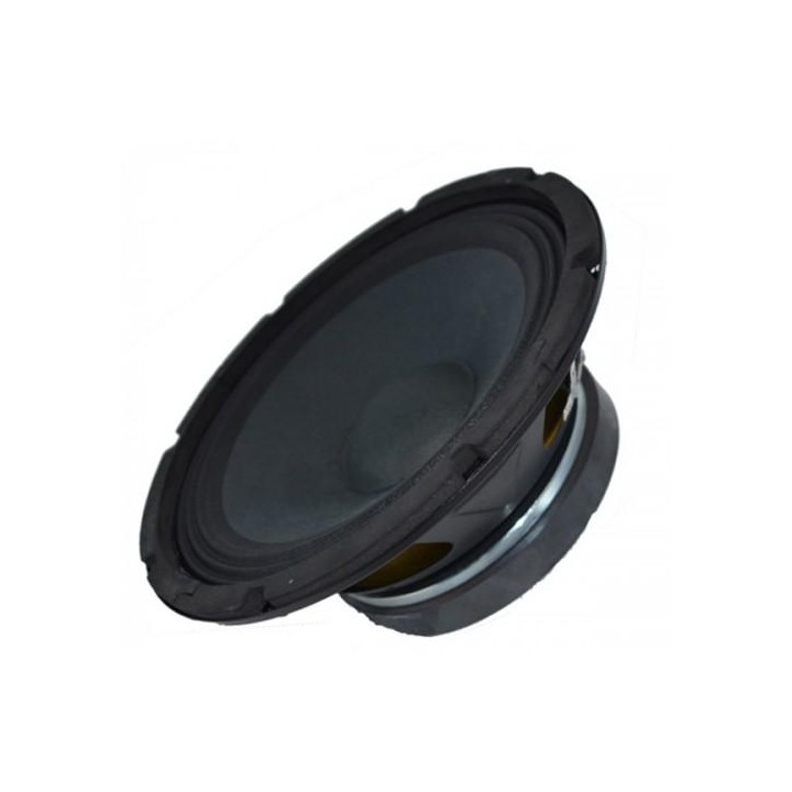 Acoustic Control - ALT 8 - Cone / Speaker 8" | Z-Bombilla