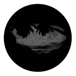 Rosco - 77609 - Standard Acciaio Gobo - Foliage Breakups | Z-Bombilla