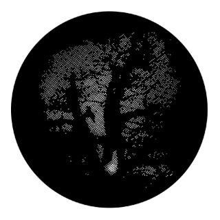 Rosco - 77611 - Standard Acciaio Gobo - Foliage Breakups | Z-Bombilla