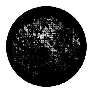 Rosco - 77839 - Aço Padrão Gobo - Foliage Breakups | Z-Bombilla