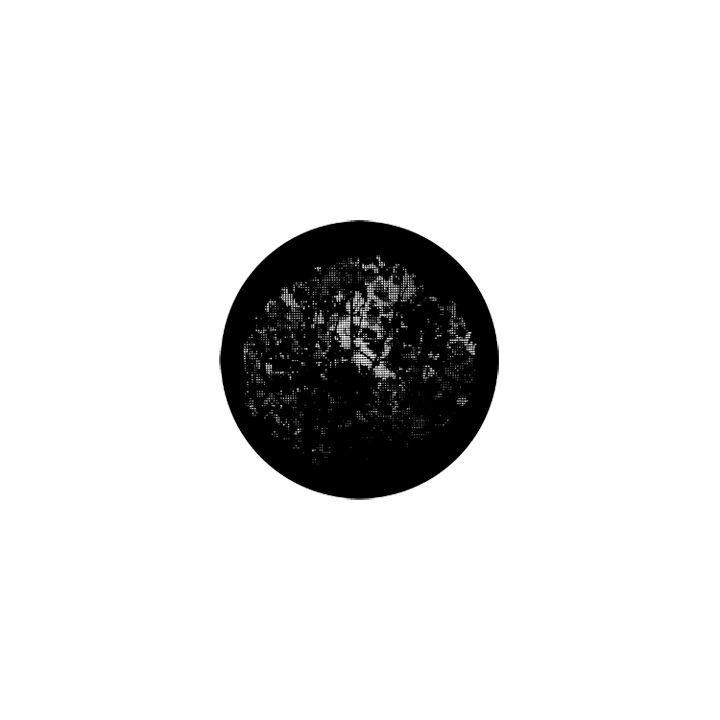 Rosco - 77839 - Aço Padrão Gobo - Foliage Breakups | Z-Bombilla