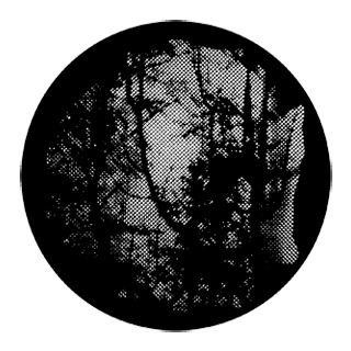 Rosco - 77840 - Aço Padrão Gobo - Foliage Breakups | Z-Bombilla